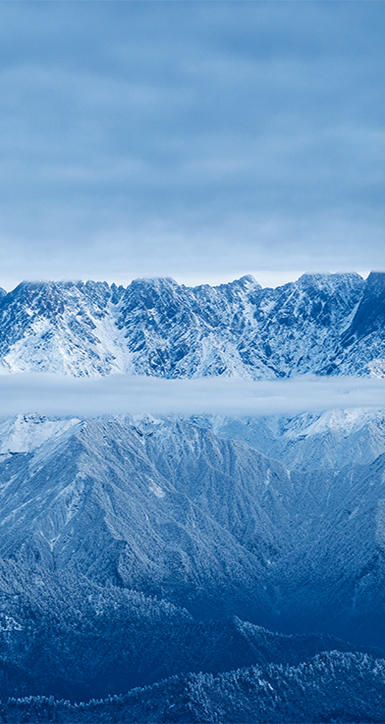 关于亚洲城yzc88